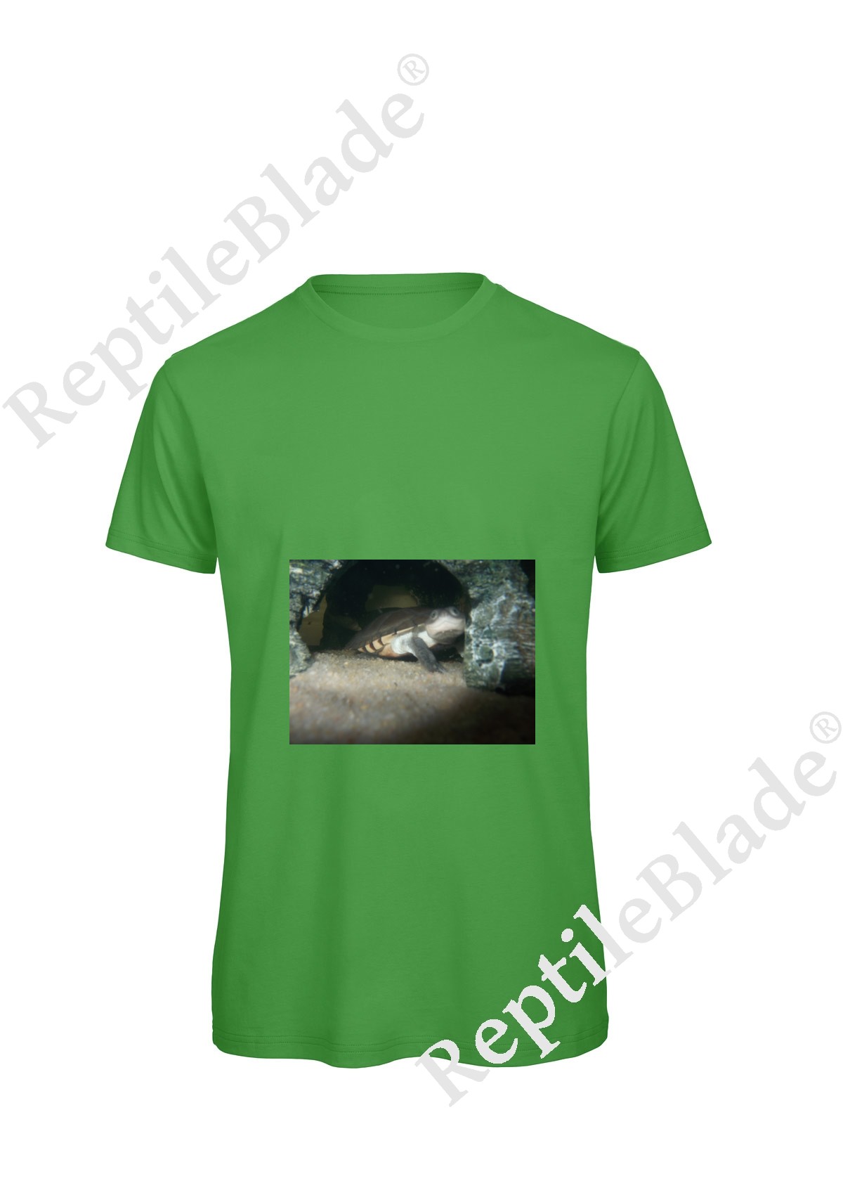T-shirt homme "Lilo tortues"