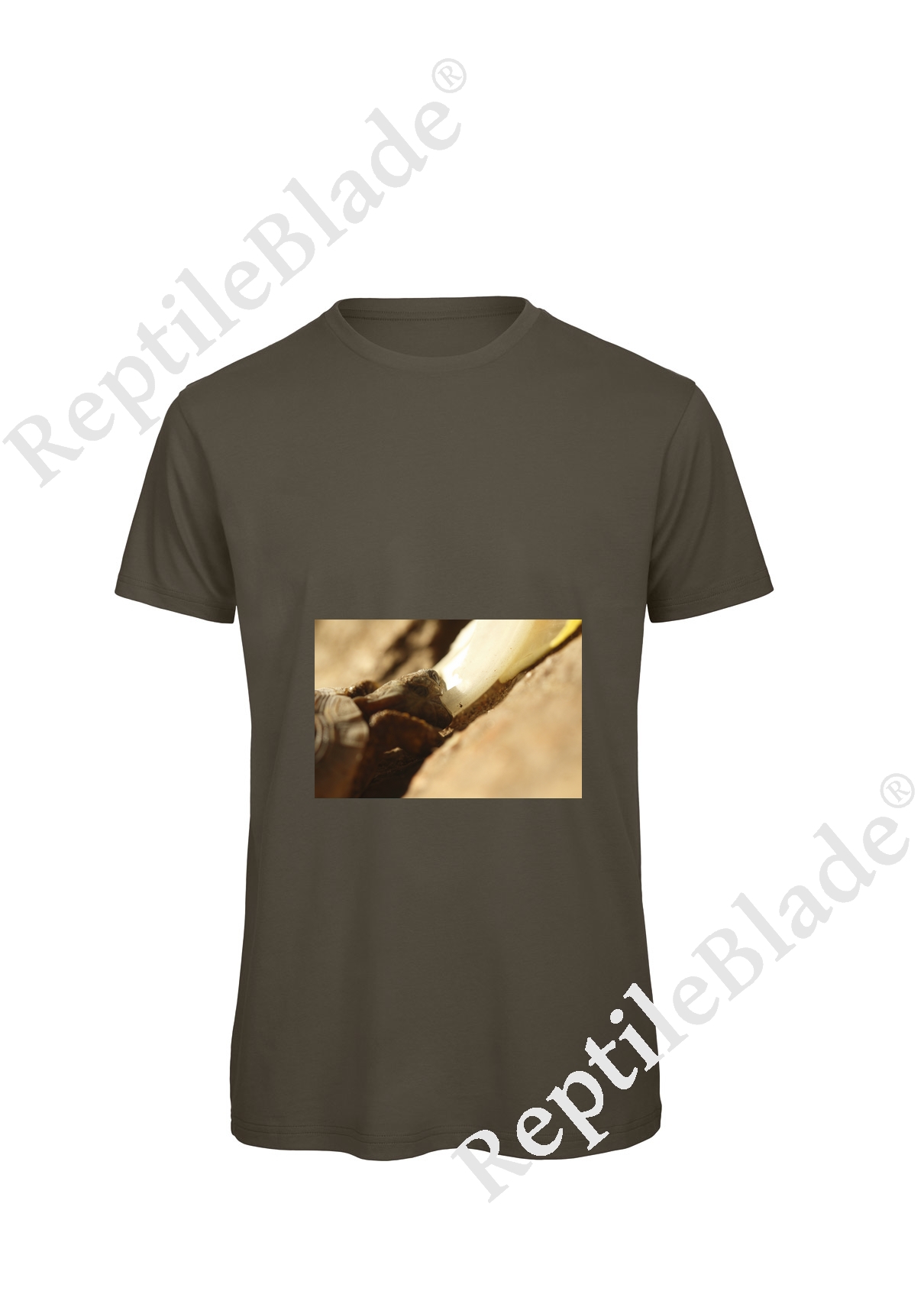 Miniature T-shirt homme "Lilo tortues"