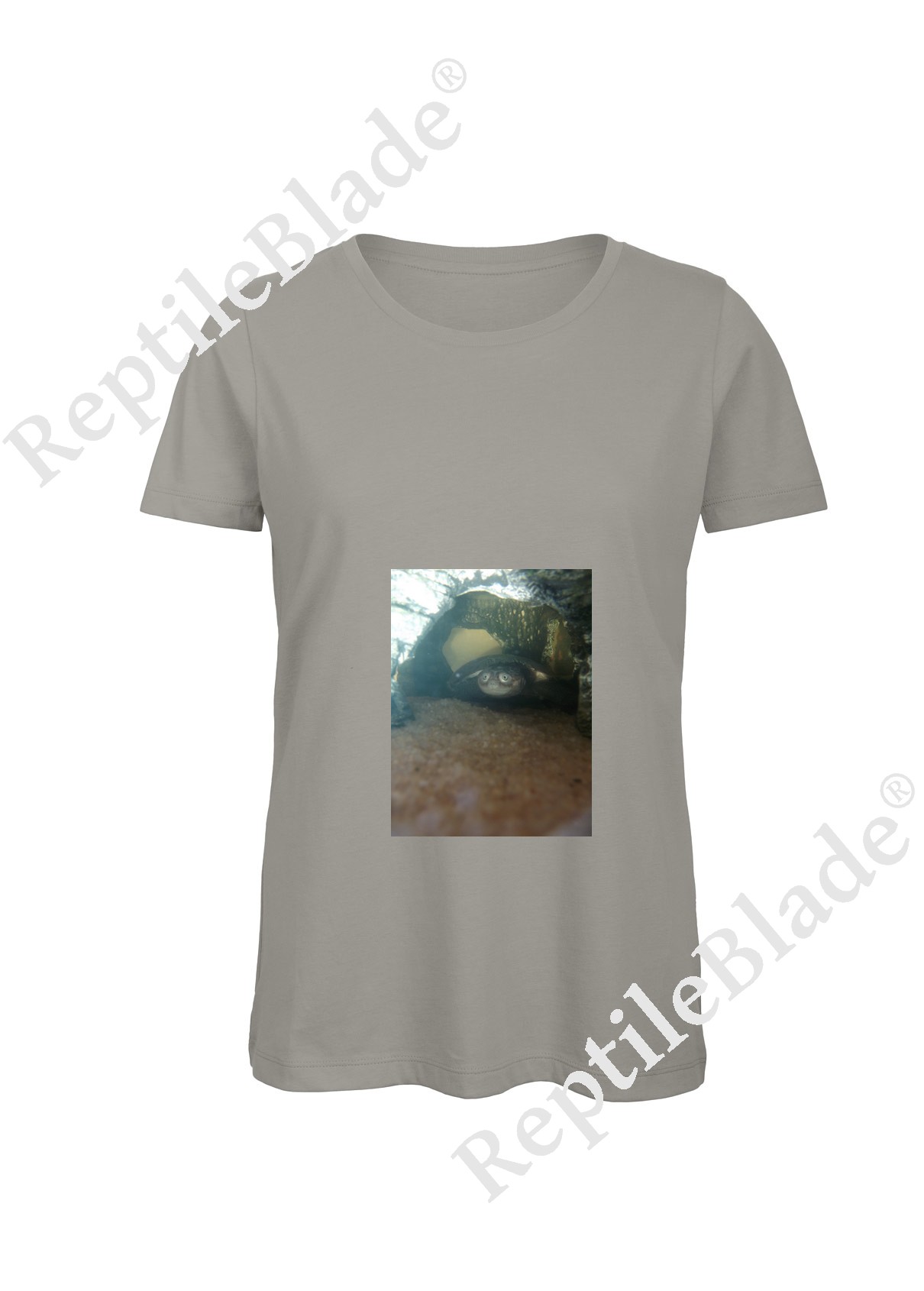 Miniature T-shirt femme "Lilo tortues"