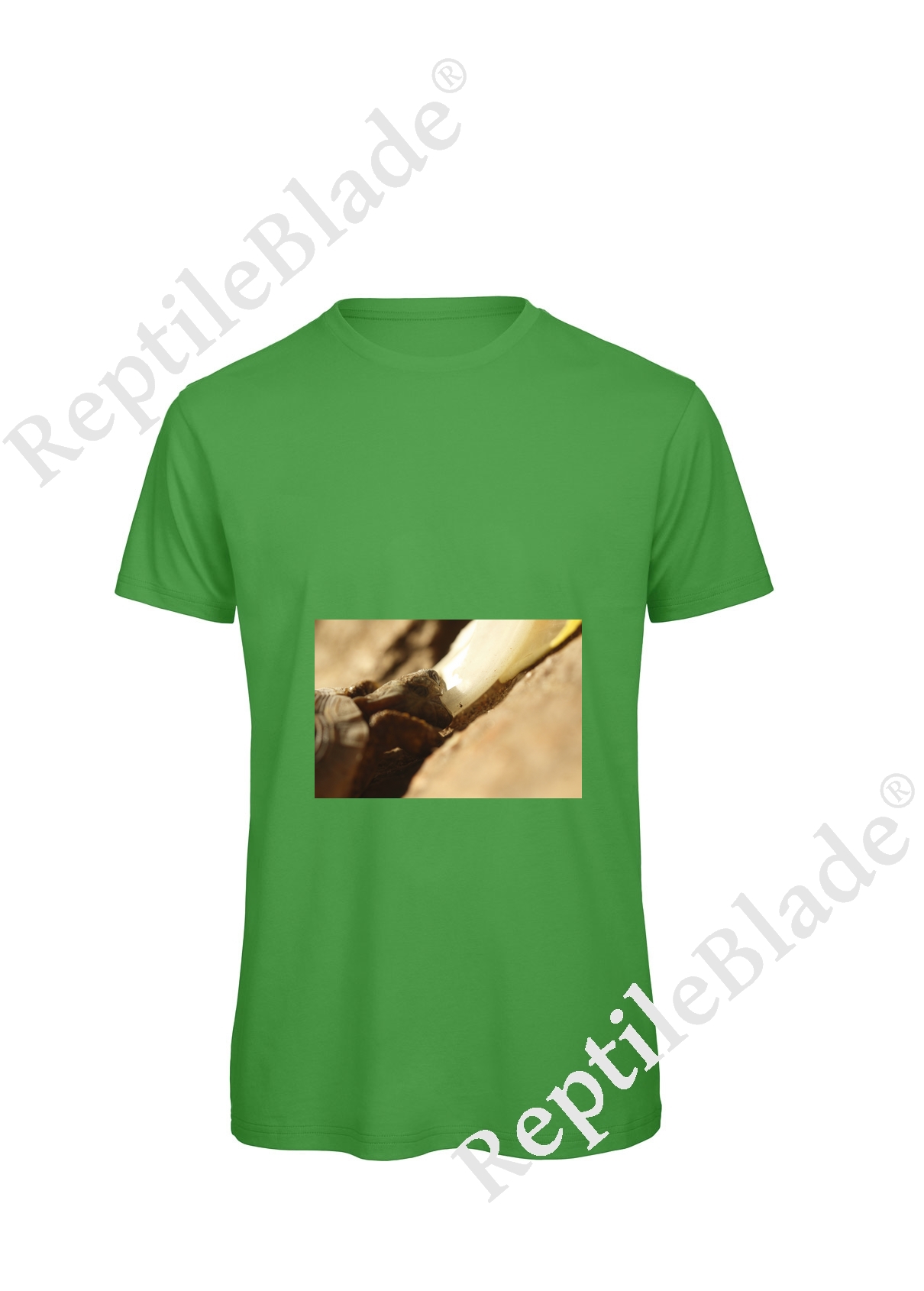 T-shirt homme "Lilo tortues"