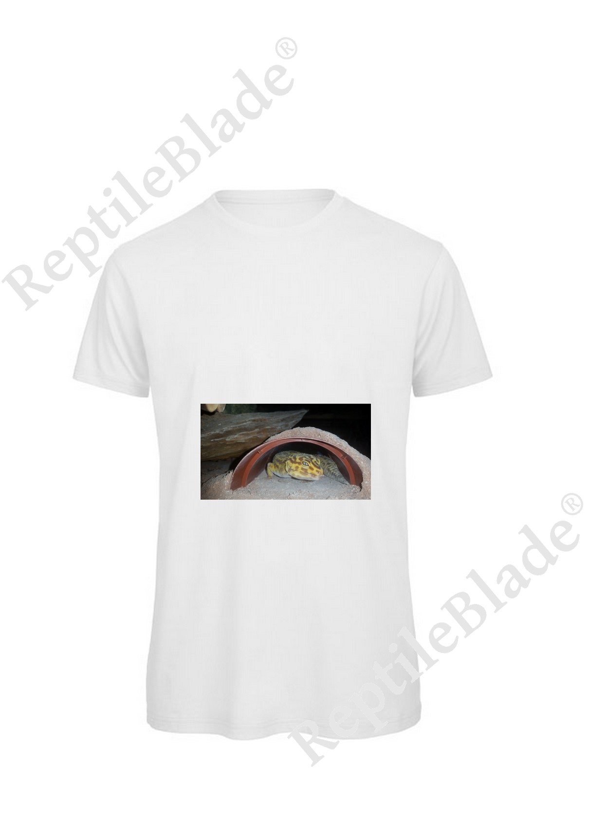 Miniature T-shirt homme "Lilo tortues"
