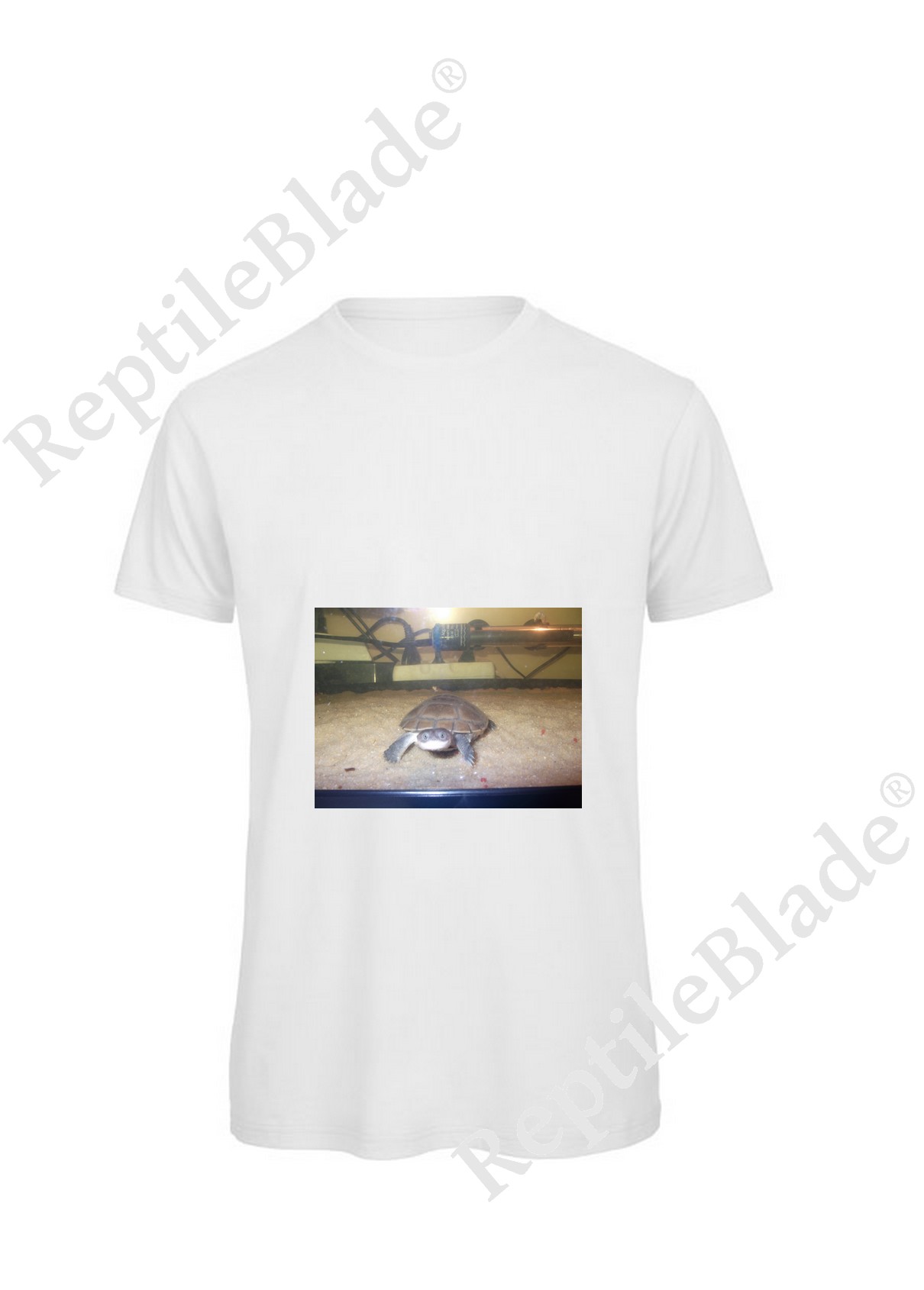 Miniature T-shirt homme "Lilo tortues"