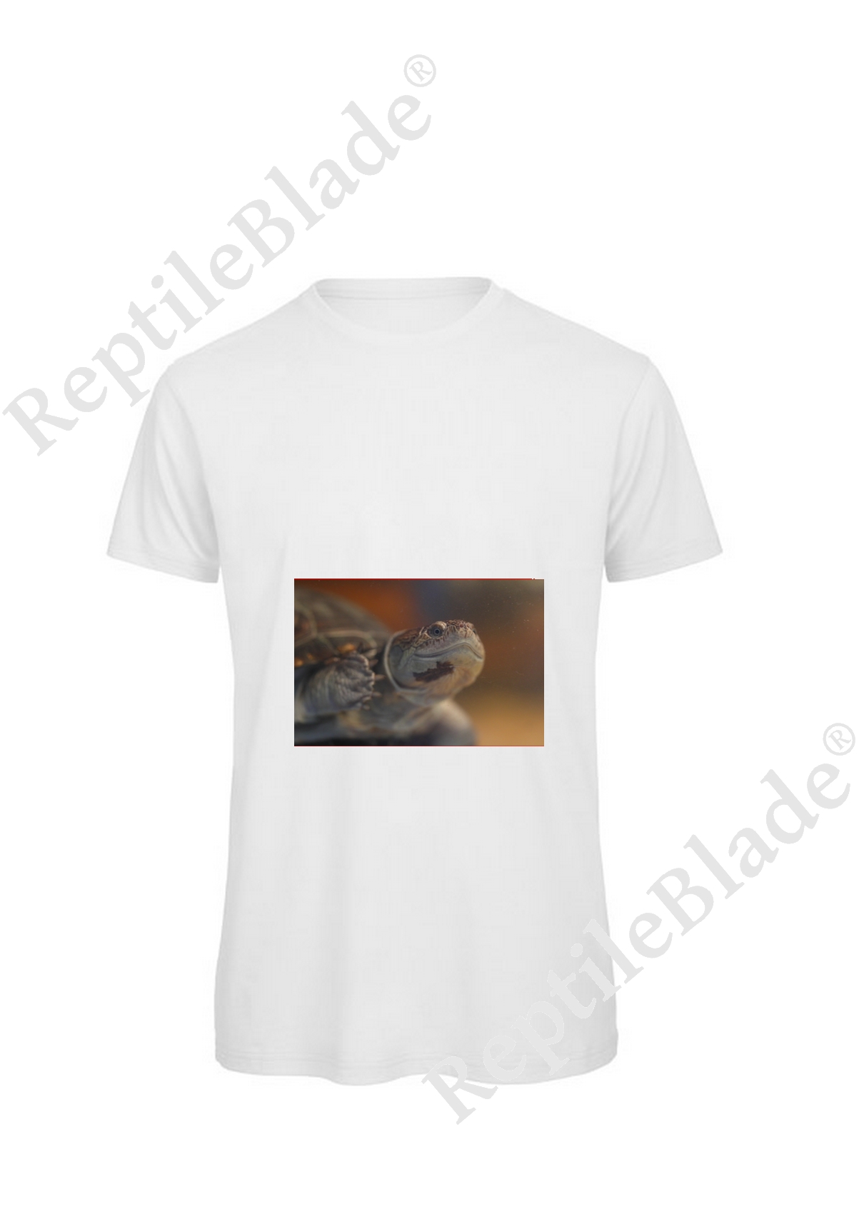 Miniature T-shirt homme "Lilo Tortues"