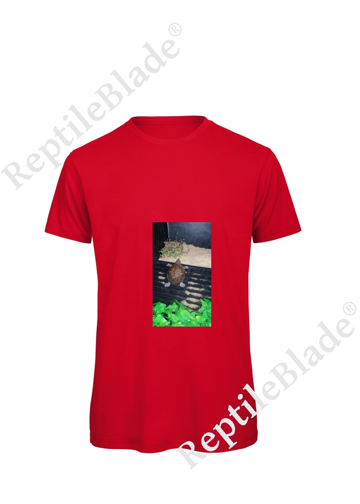 Miniature T-shirt homme "Lilo tortues"