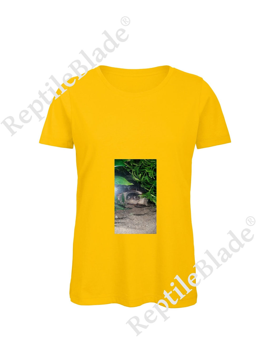 Miniatura: T-shirt femme "Lilo tortues"