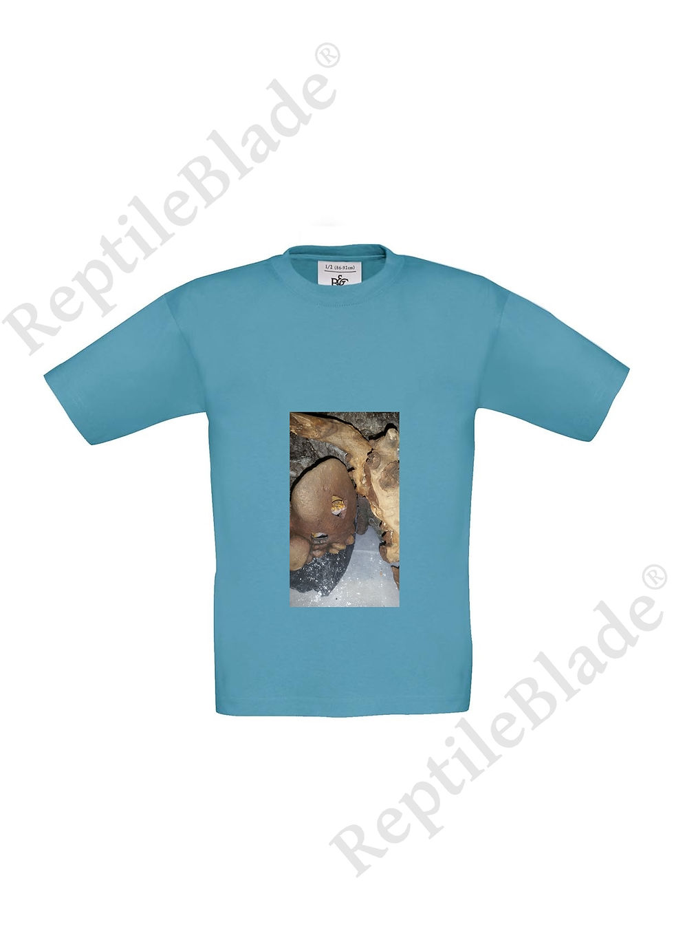 תמונה ממוזערת: T-shirt enfant "Lilo tortues"