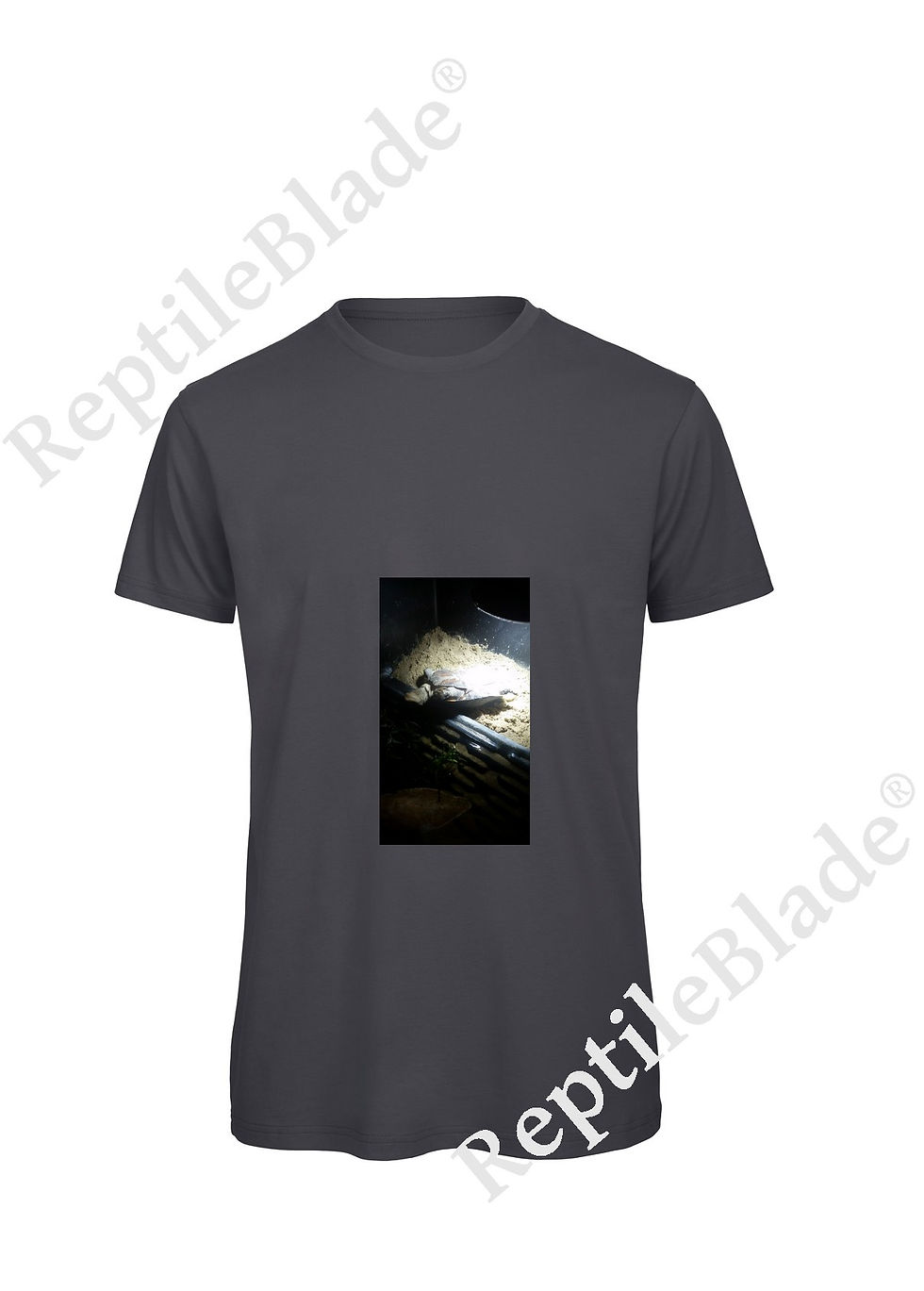 Miniatura: T-shirt homme "Lilo tortues"