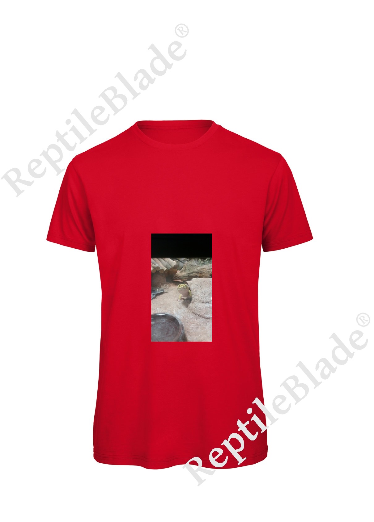 Miniature T-shirt homme "Lilo tortues"