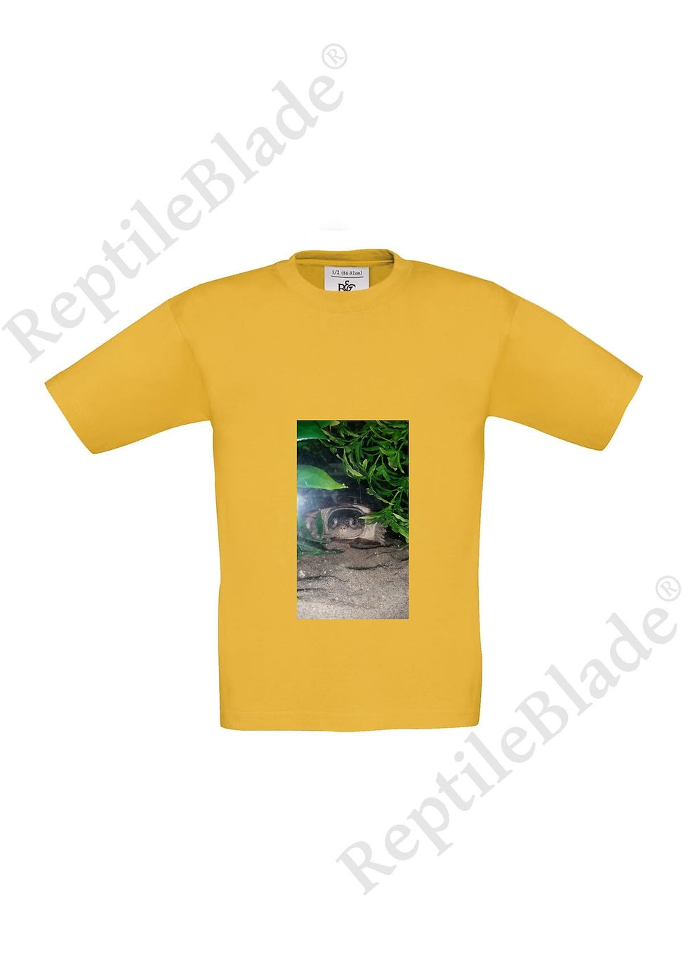 תמונה ממוזערת: T-shirt enfant "Lilo tortues"