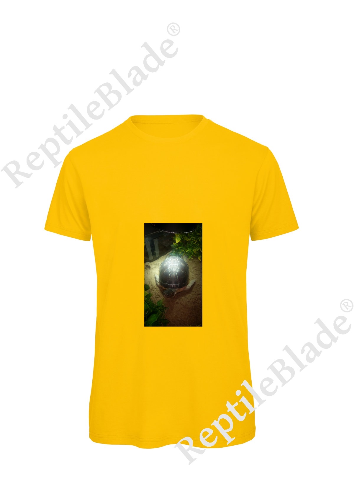 Miniature T-shirt homme "Lilo tortues"