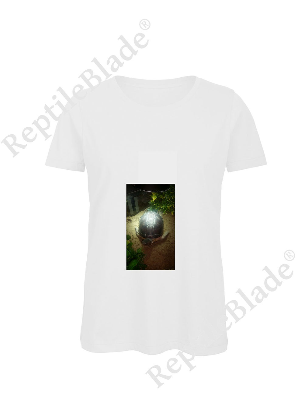 サムネイル： T-shirt femme "Lilo tortues"