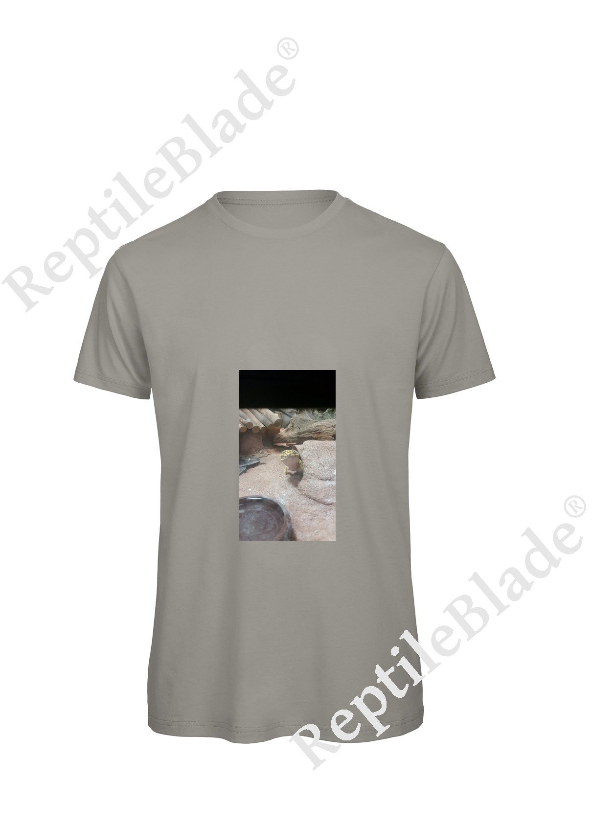 Miniature T-shirt homme "Lilo tortues"