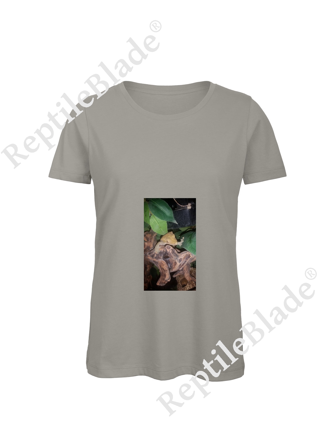 Miniature T-shirt femme "Lilo tortues"