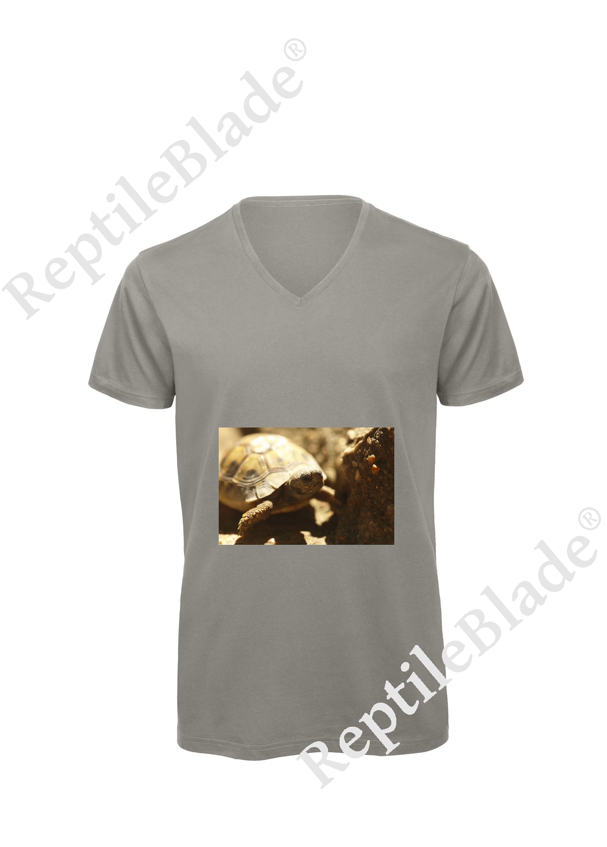 T-shirt homme col v "Lilo tortues"