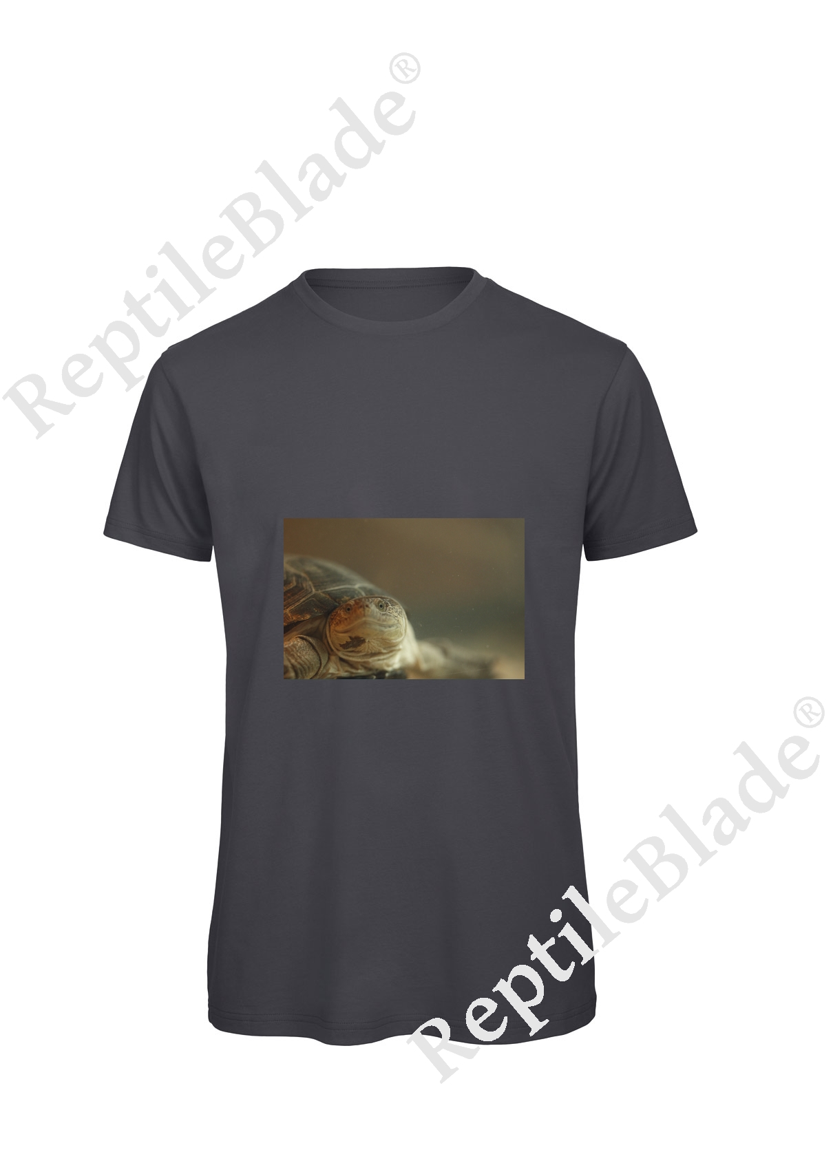 Miniature T-shirt homme "Lilo Tortues"