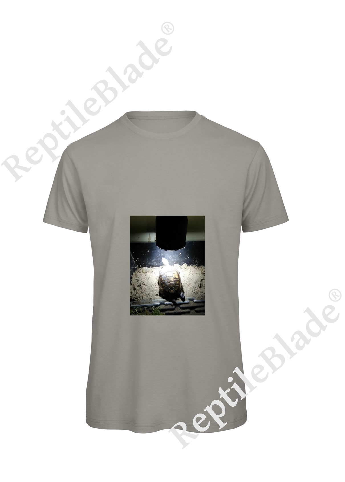 Miniature T-shirt homme "Lilo tortues"