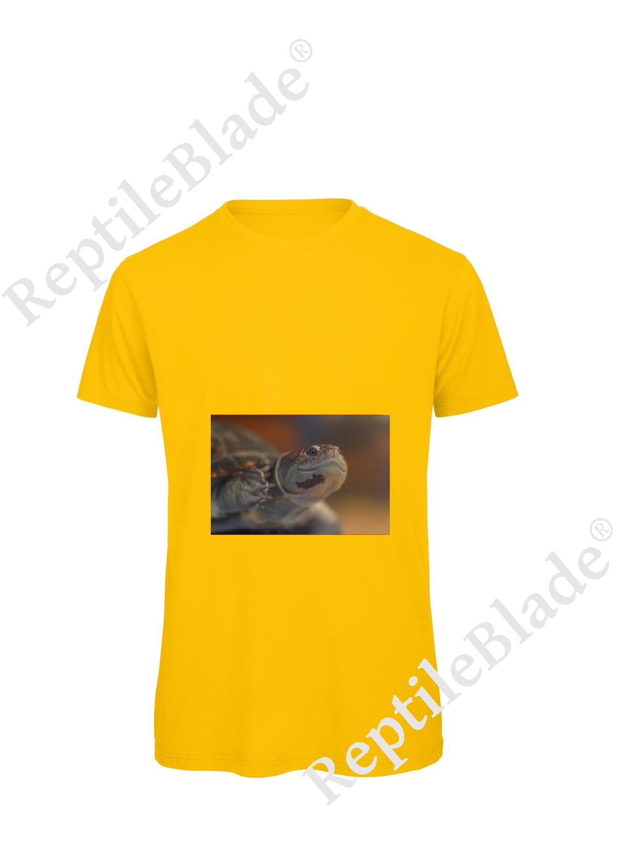 Miniature T-shirt homme "Lilo Tortues"
