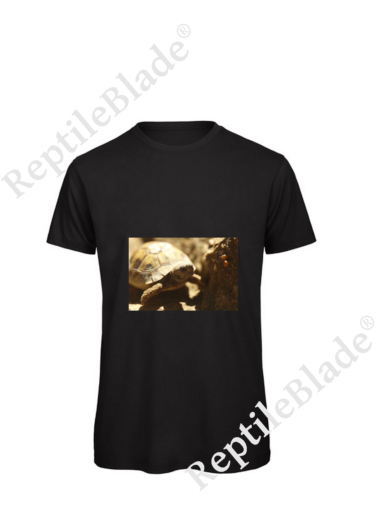 Miniature T-shirt homme "Lilo Tortues"