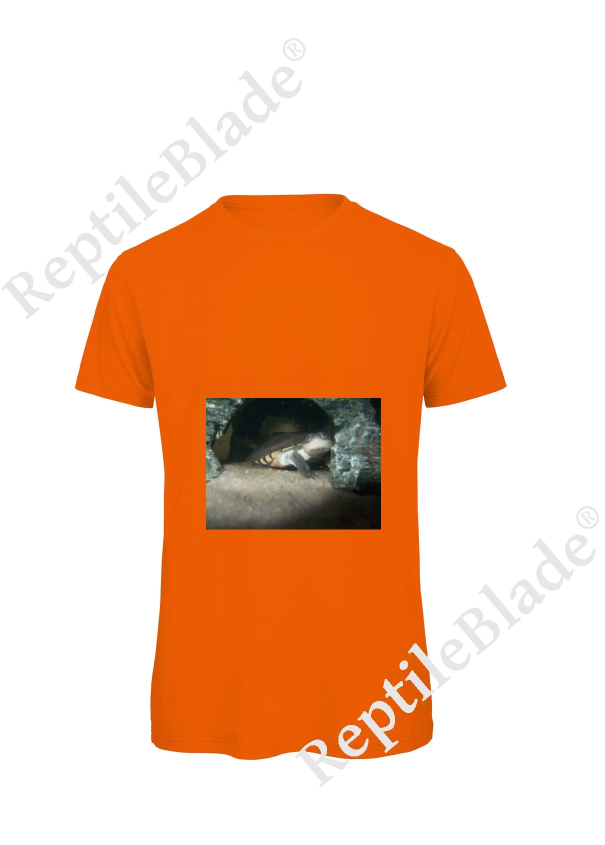 Miniature T-shirt homme "Lilo tortues"