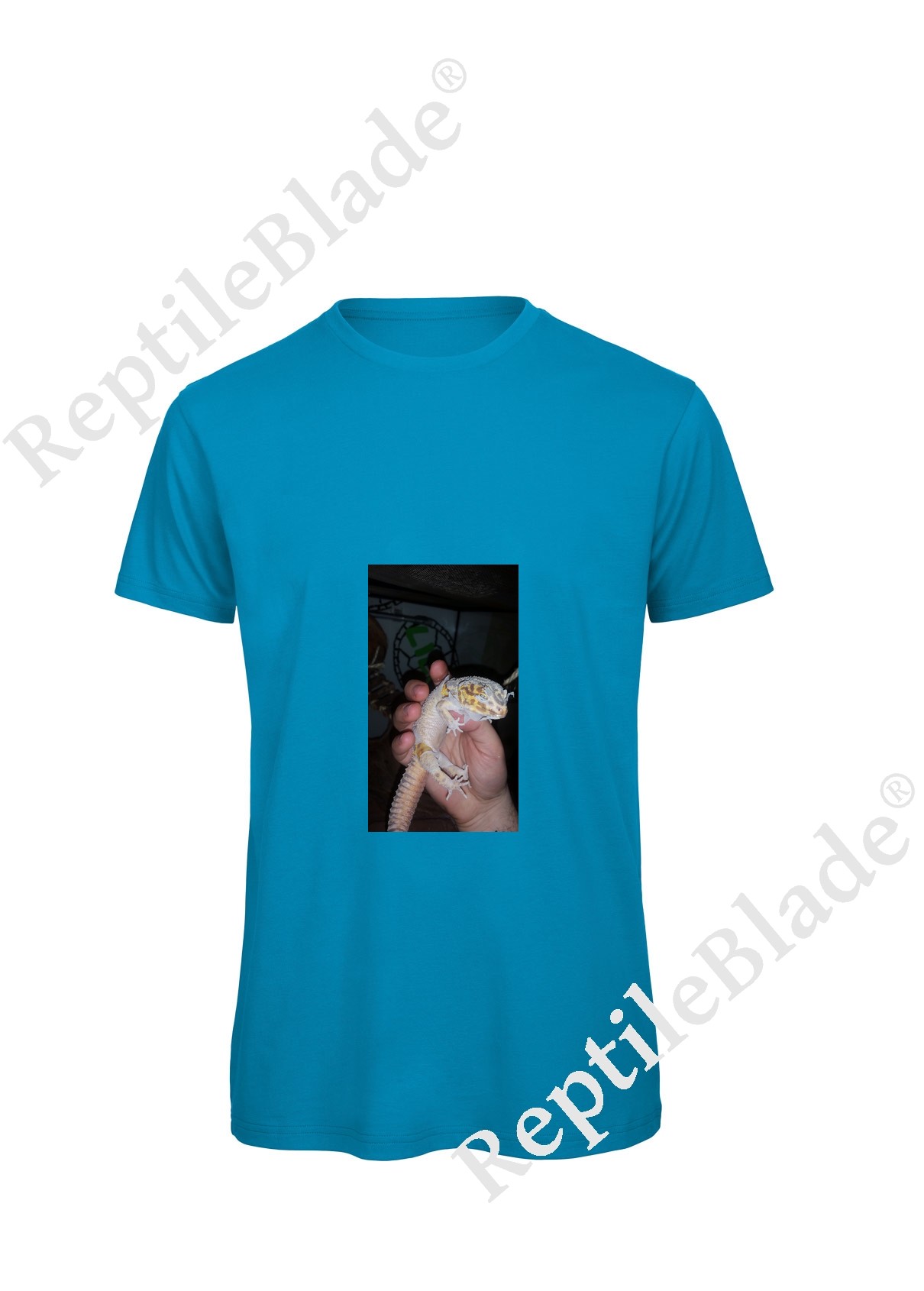Miniature T-shirt homme "Lilo tortues"