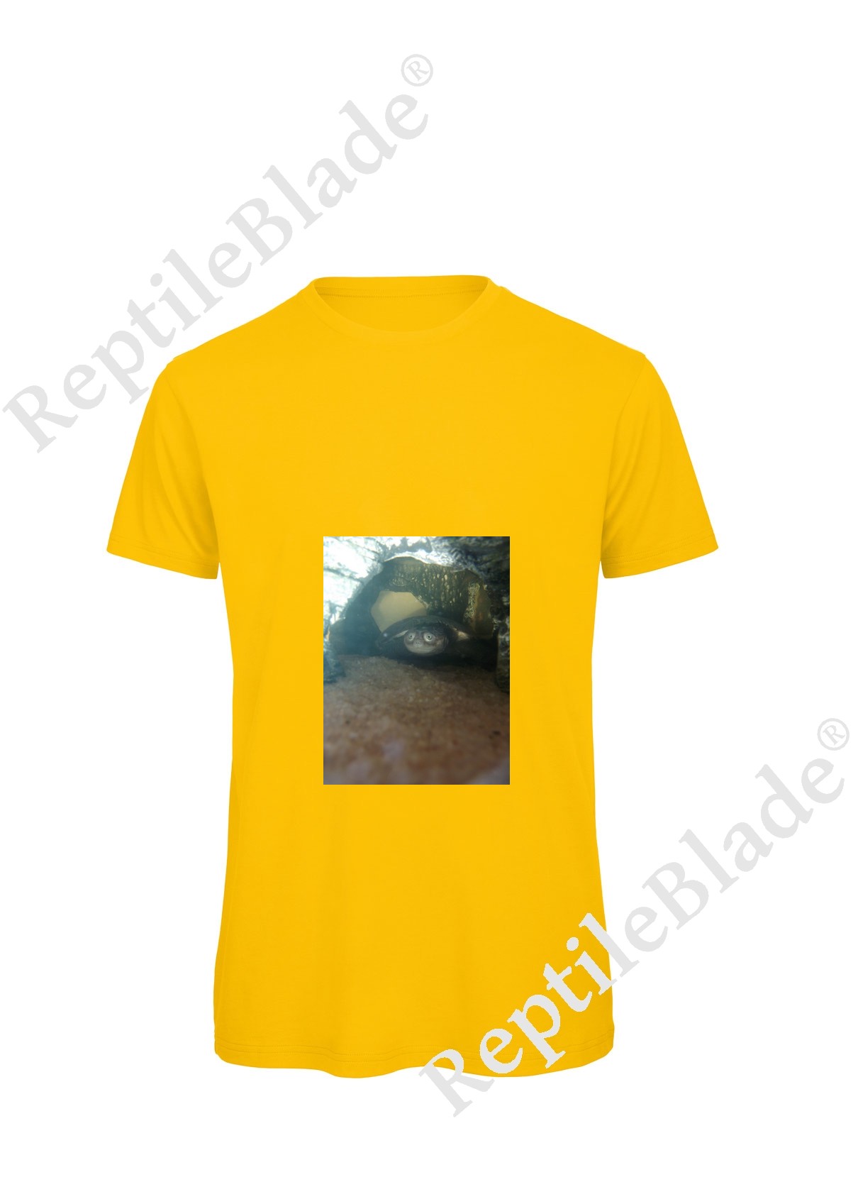 Miniature T-shirt homme "Lilo tortues"