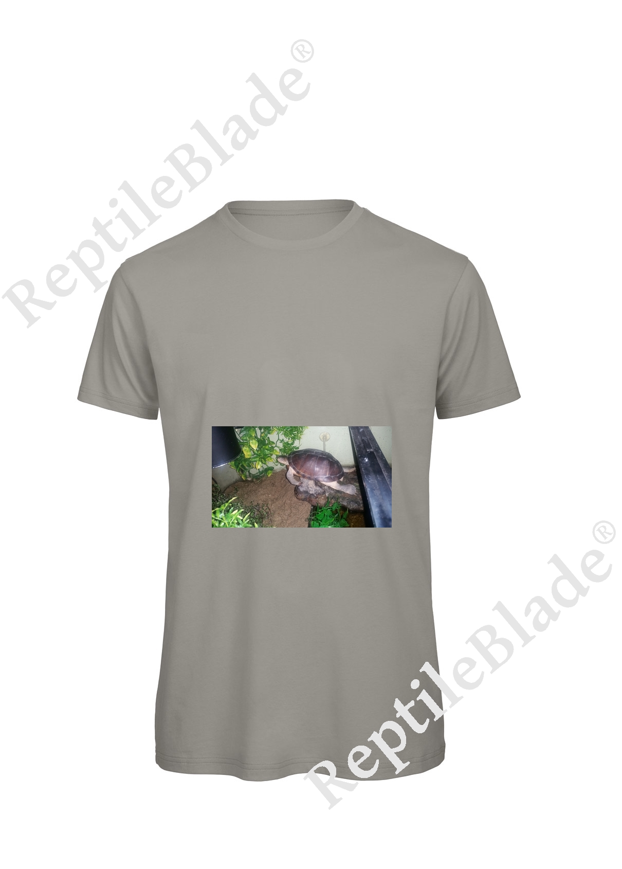 Miniature T-shirt homme "Lilo tortues"