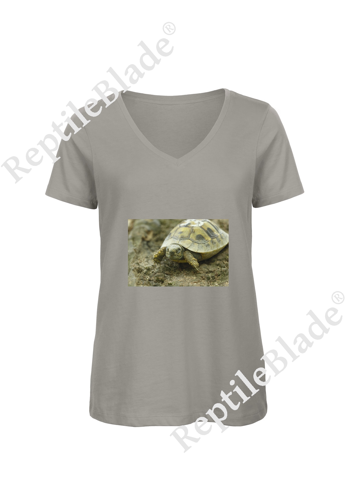 T-shirt femme col v "Lilo tortues"