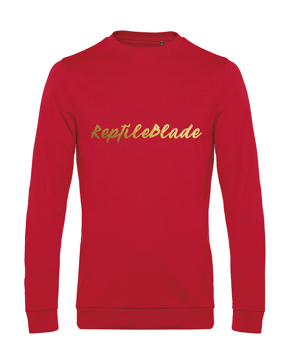 תמונה ממוזערת: Sweat-shirt homme "ReptileBlade"