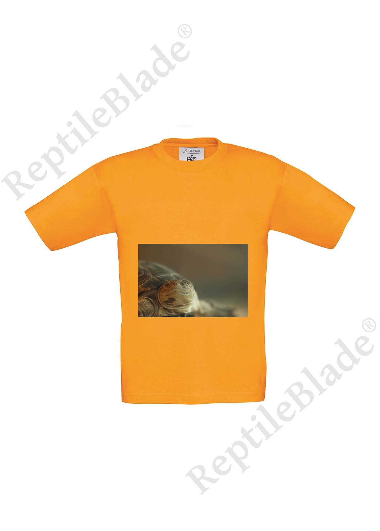Miniature T-shirt enfant "Lilo tortues"