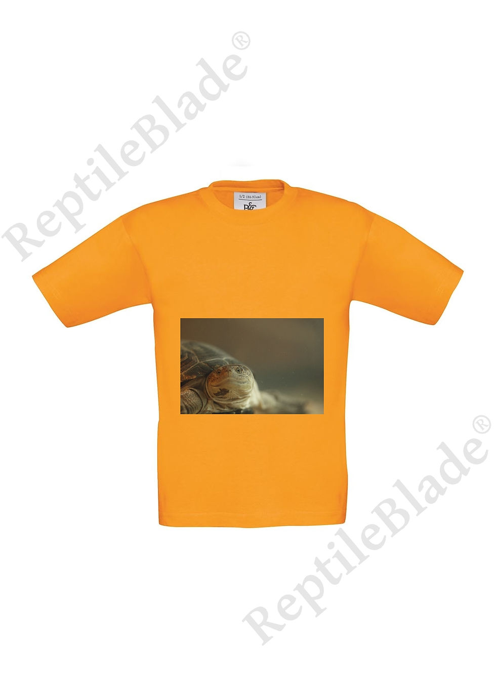 Thumbnail: T-shirt enfant "Lilo tortues"