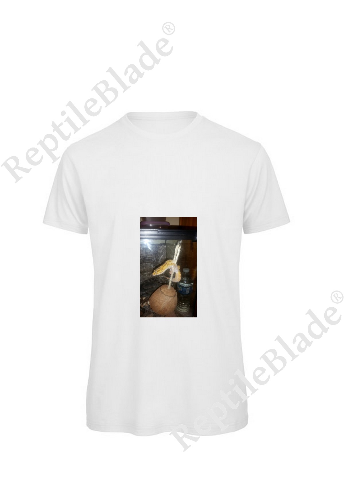 Miniature T-shirt homme "Lilo tortues"