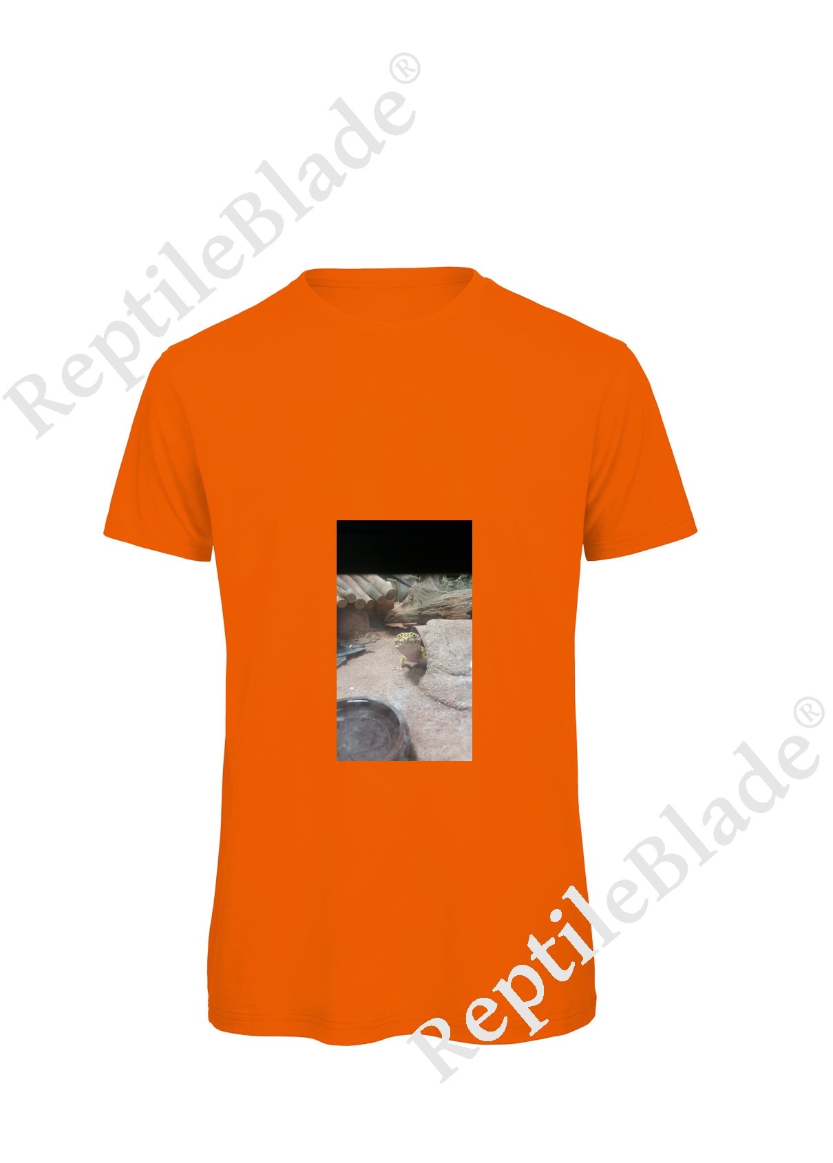 Miniature T-shirt homme "Lilo tortues"