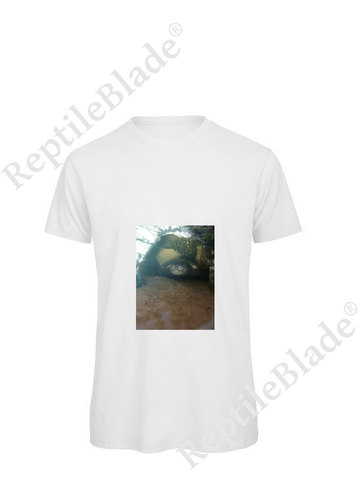 Miniature T-shirt homme "Lilo tortues"