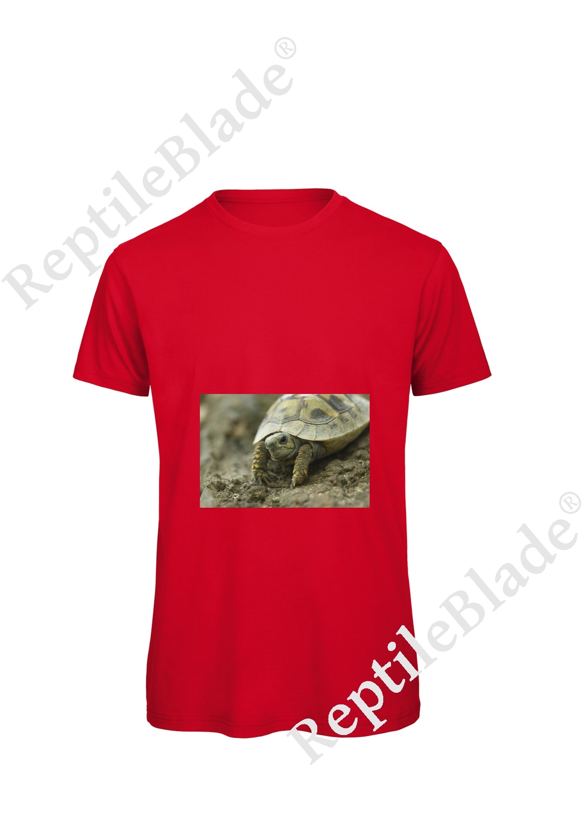 Miniature T-shirt homme "Lilo Tortues"