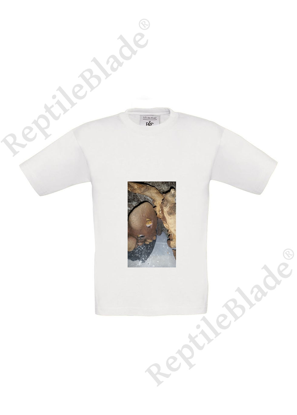 Miniatura: T-shirt enfant "Lilo tortues"