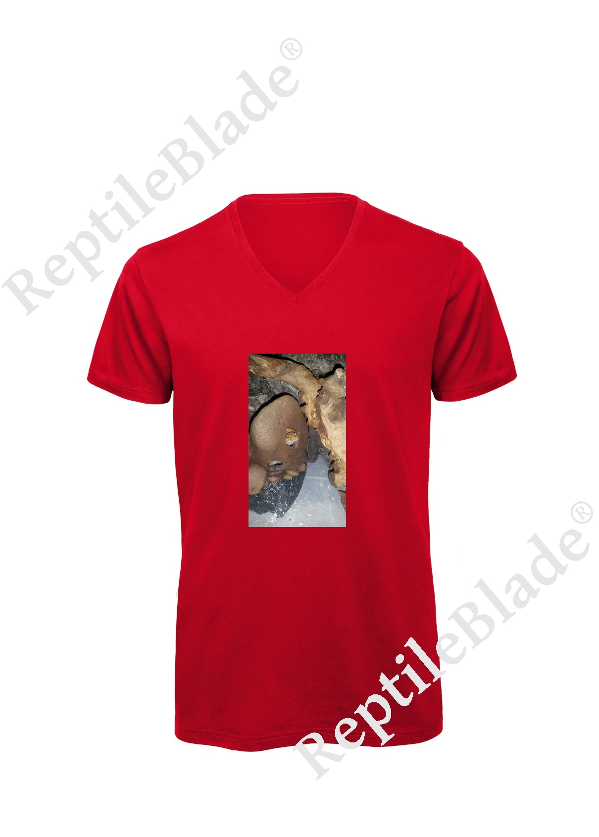 Miniature T-shirt homme col v "Lilo tortues"