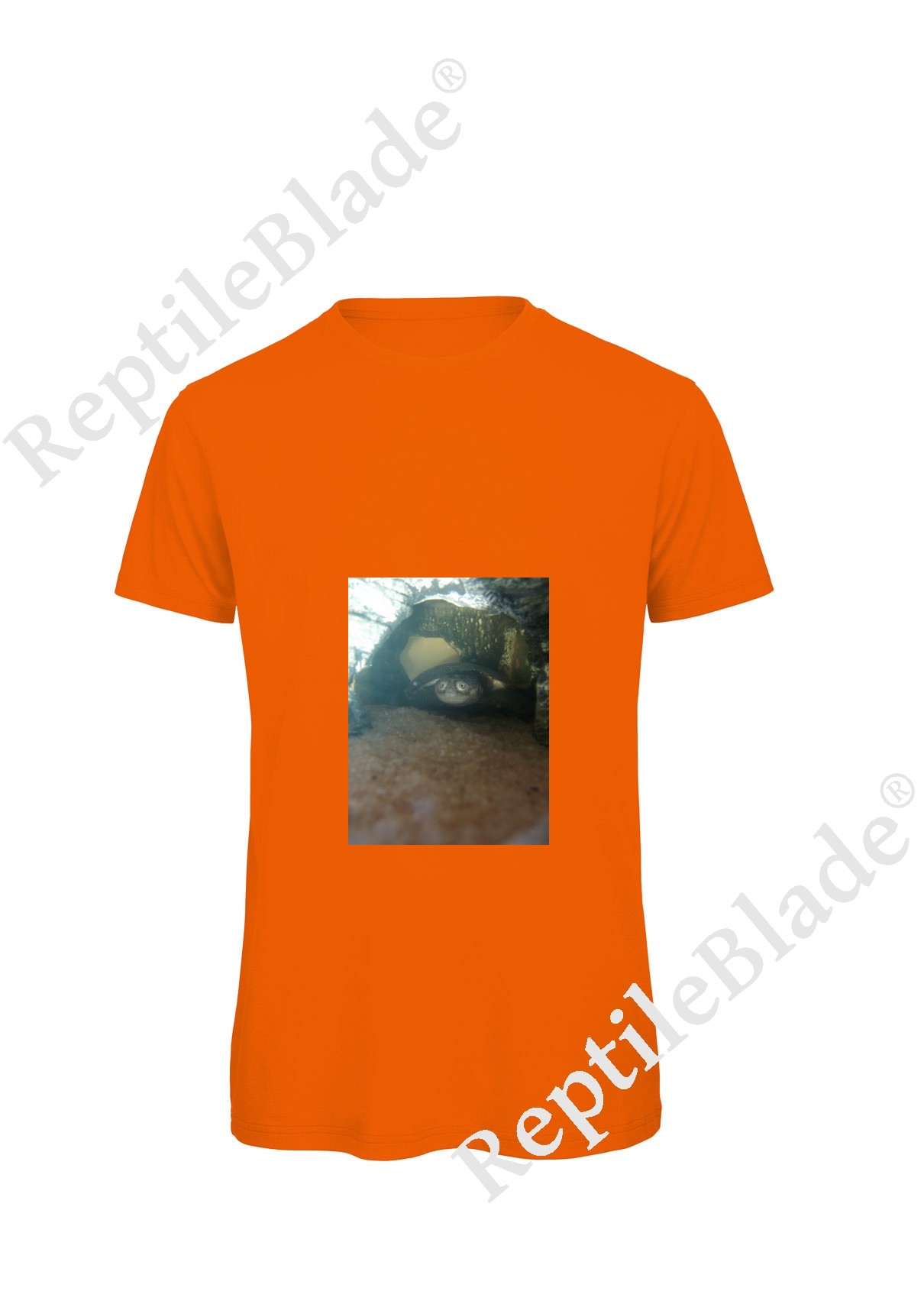 Miniature T-shirt homme "Lilo tortues"