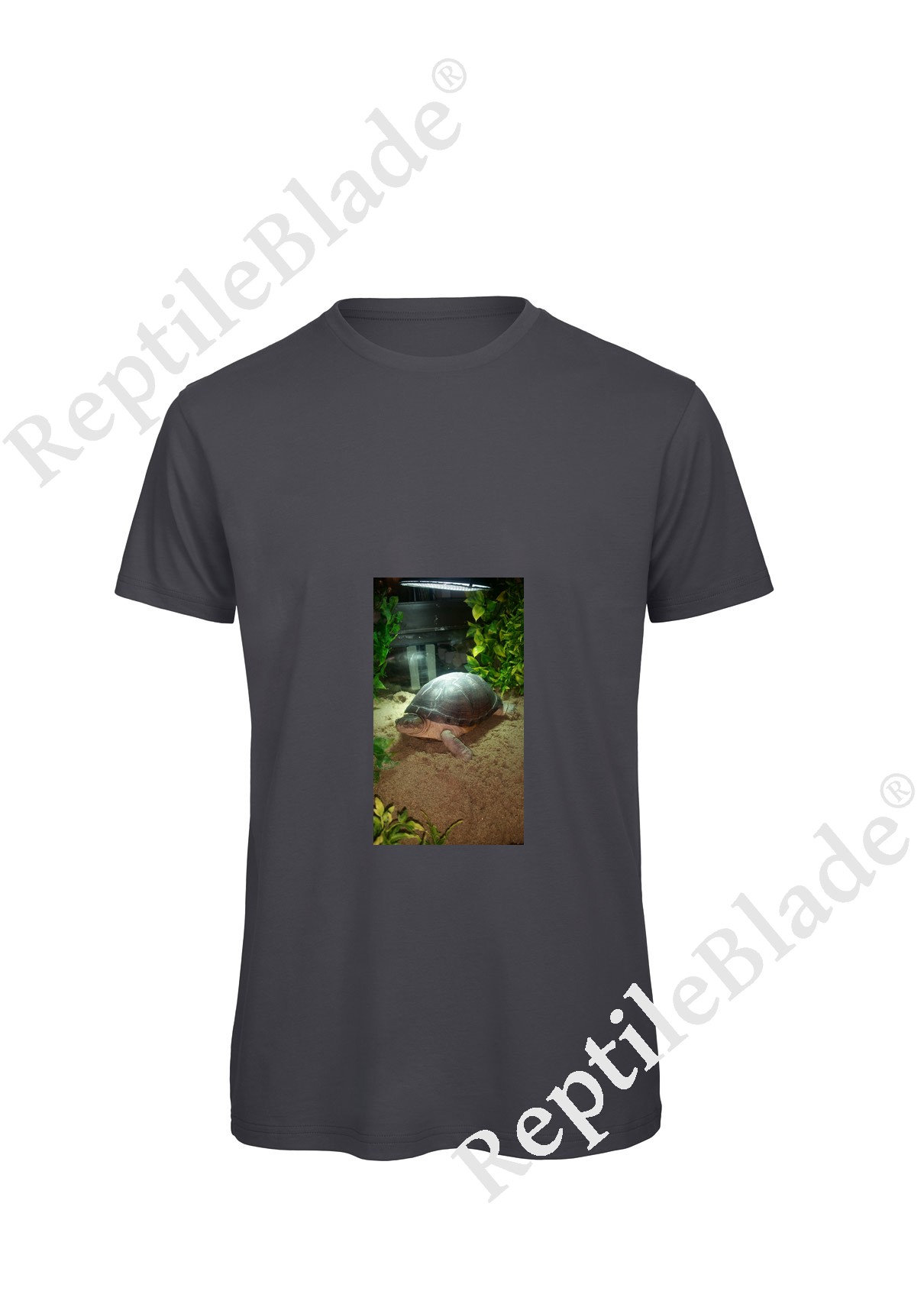 Miniature T-shirt homme "Lilo tortues"