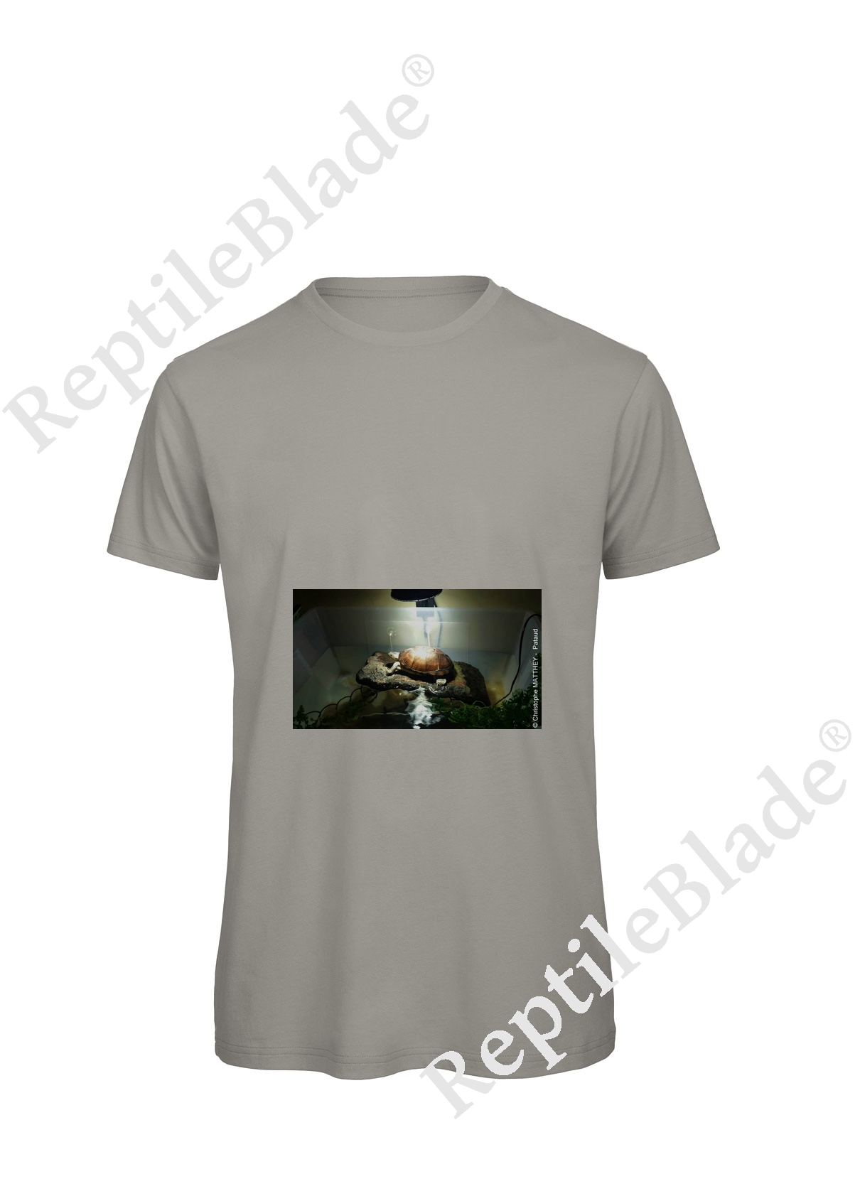 Miniature T-shirt homme "Lilo tortues"