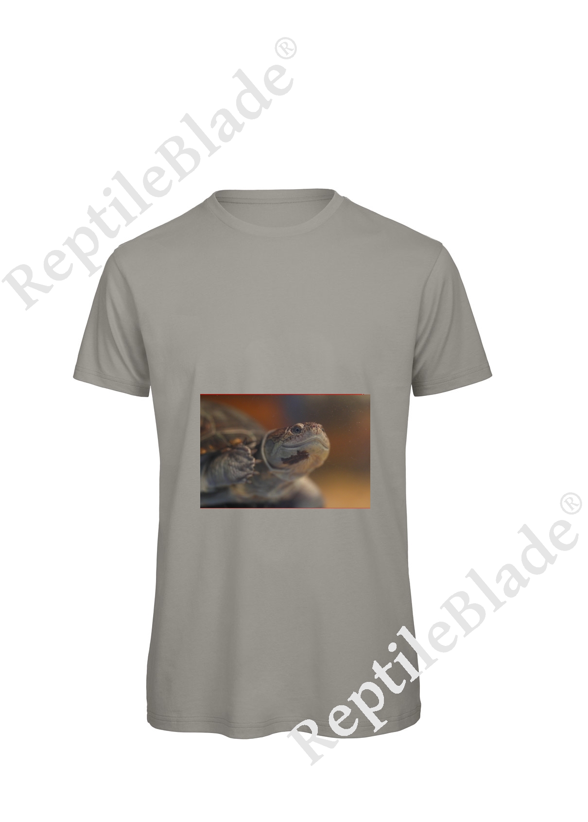 Miniature T-shirt homme "Lilo Tortues"