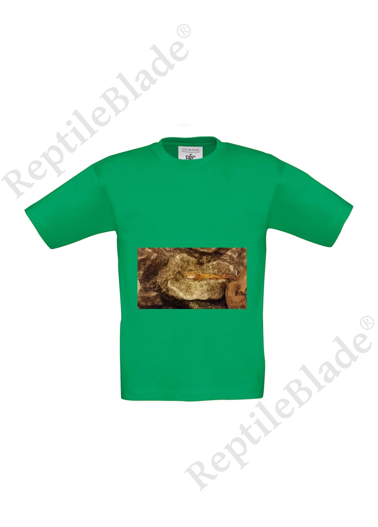 Miniature T-shirt enfant "Lilo tortues"