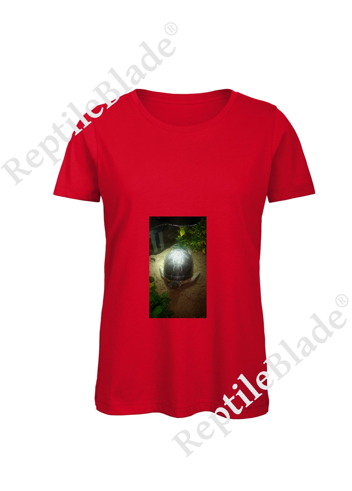 Miniature T-shirt femme "Lilo tortues"