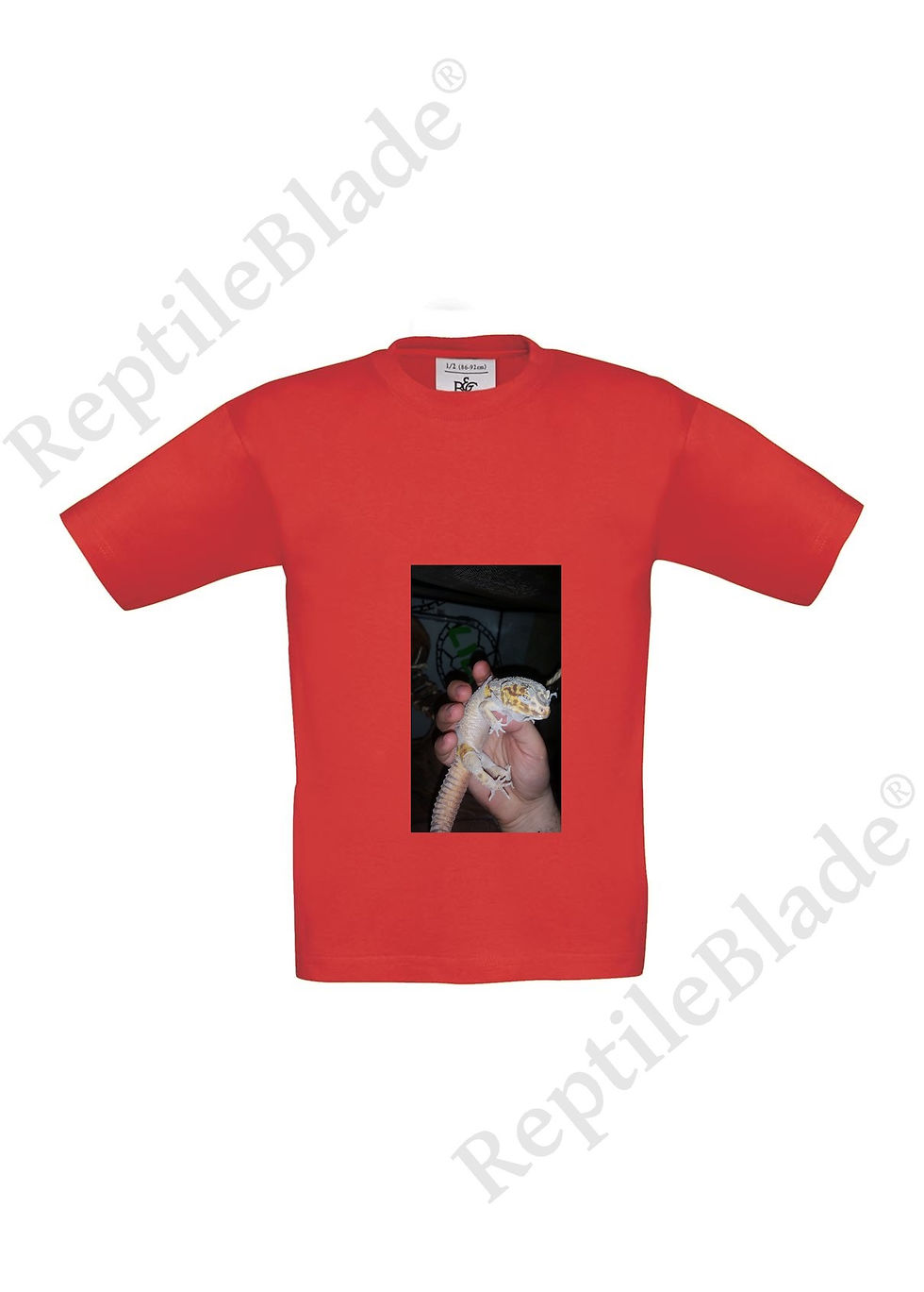 תמונה ממוזערת: T-shirt enfant "Lilo tortues"