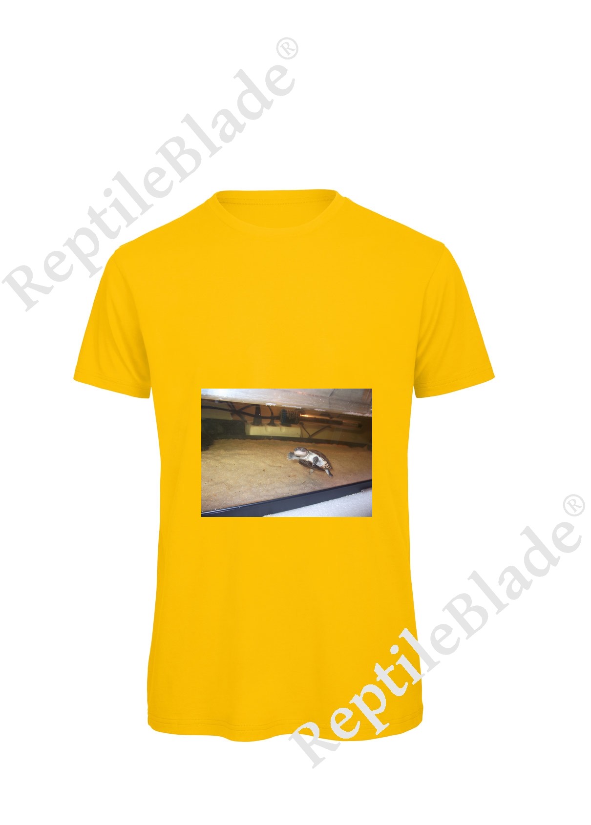 Miniature T-shirt homme "Lilo tortues"