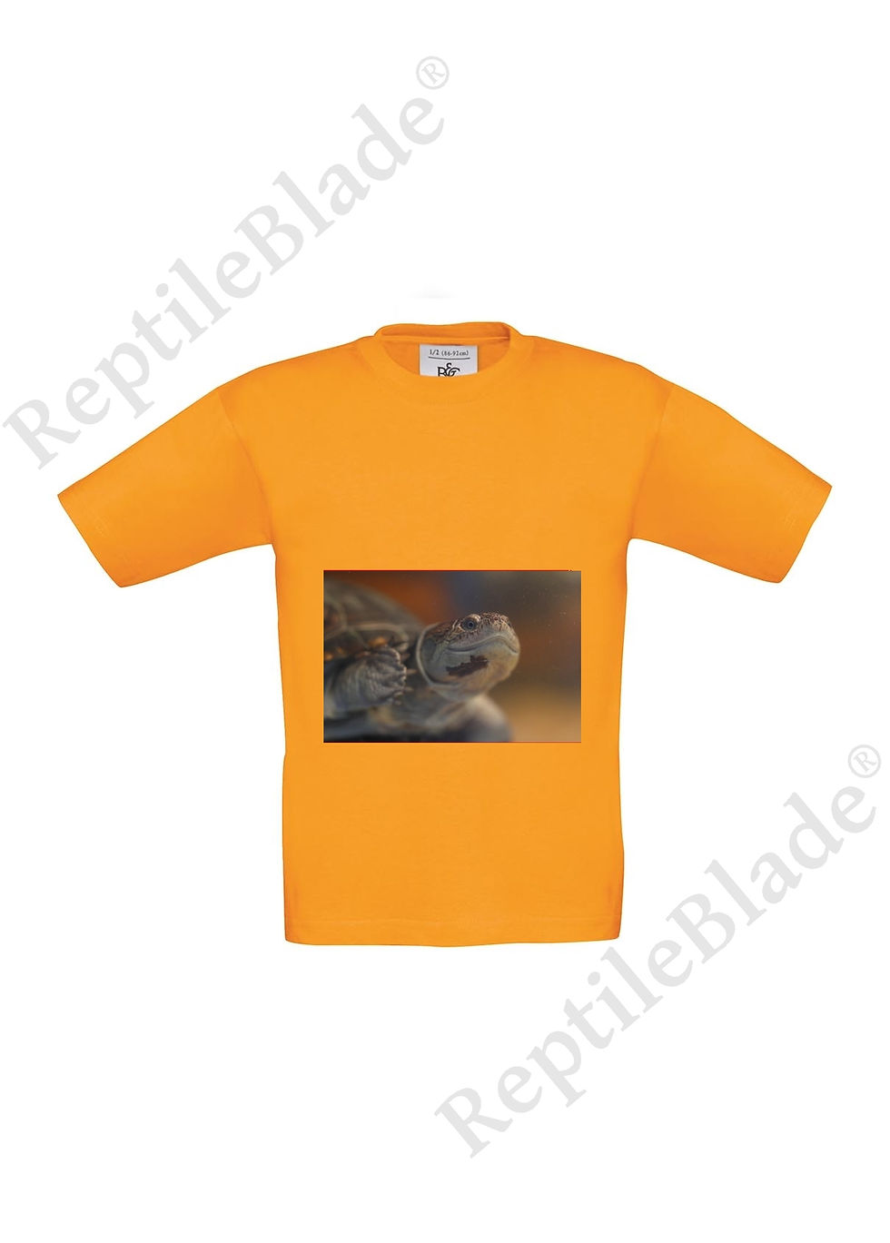 الصورة المصغرة: T-shirt enfant "Lilo Tortues"
