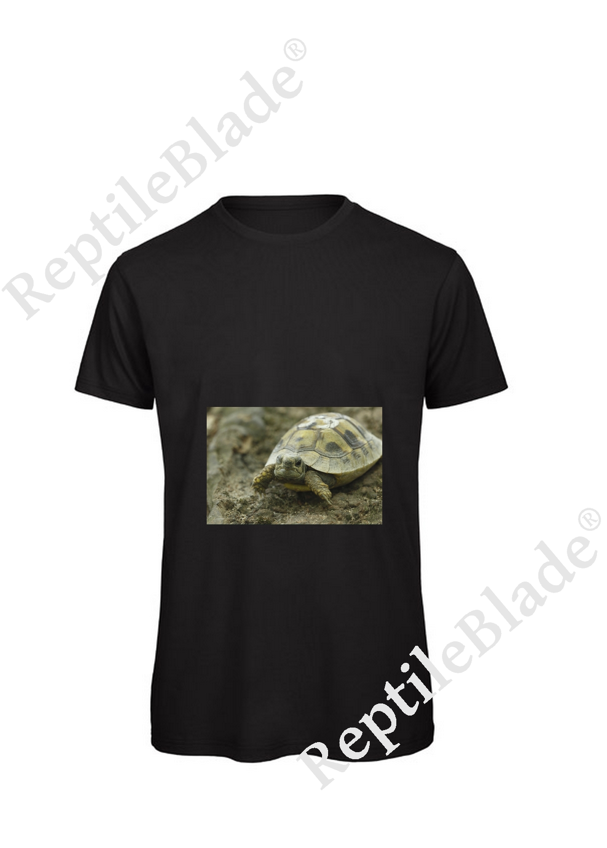 Miniature T-shirt homme "Lilo tortues"
