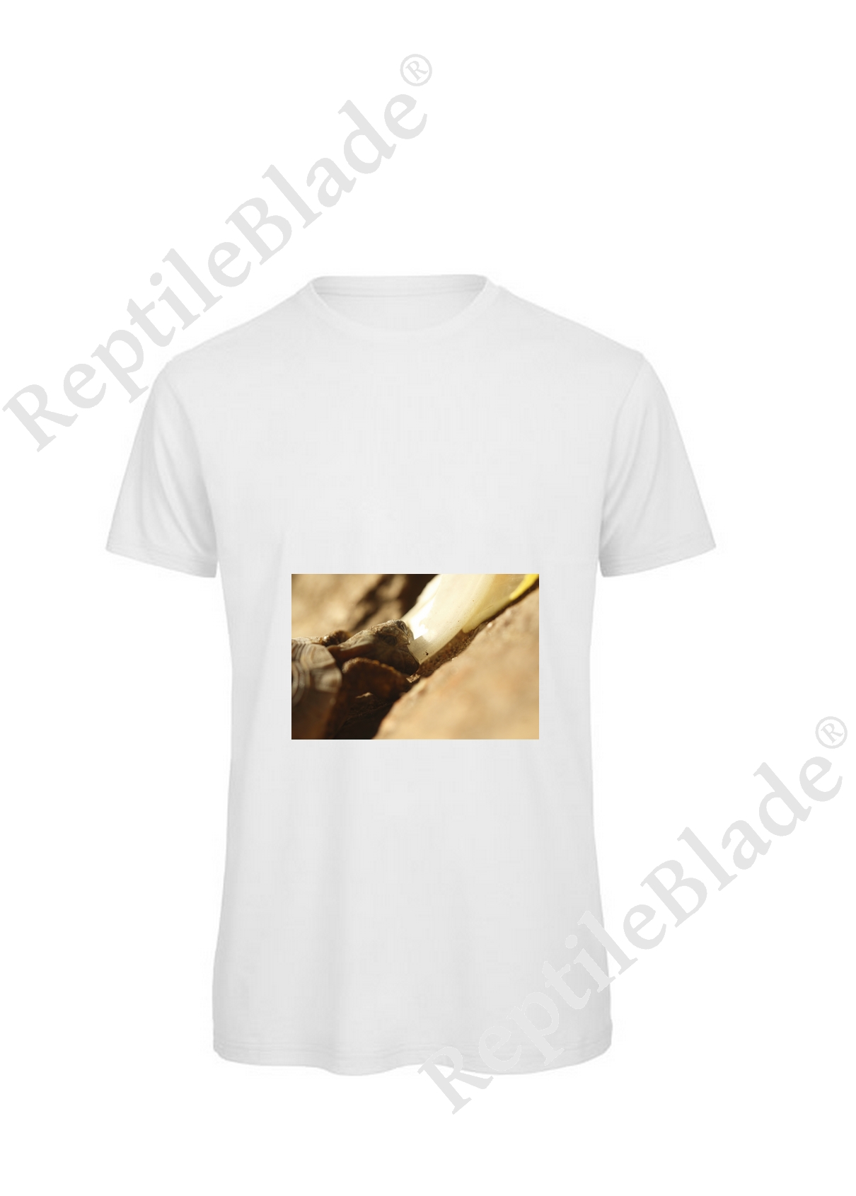 Miniature T-shirt homme "Lilo tortues"