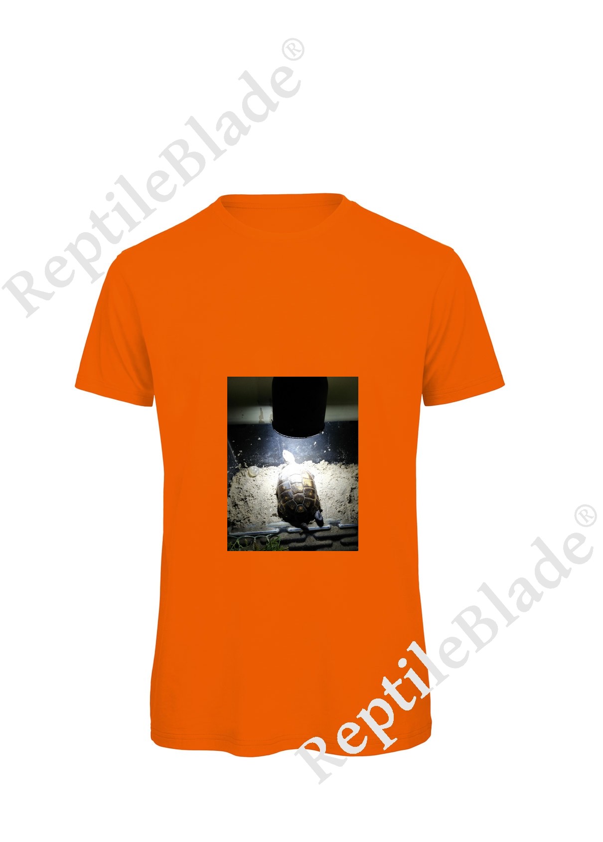 Miniature T-shirt homme "Lilo tortues"