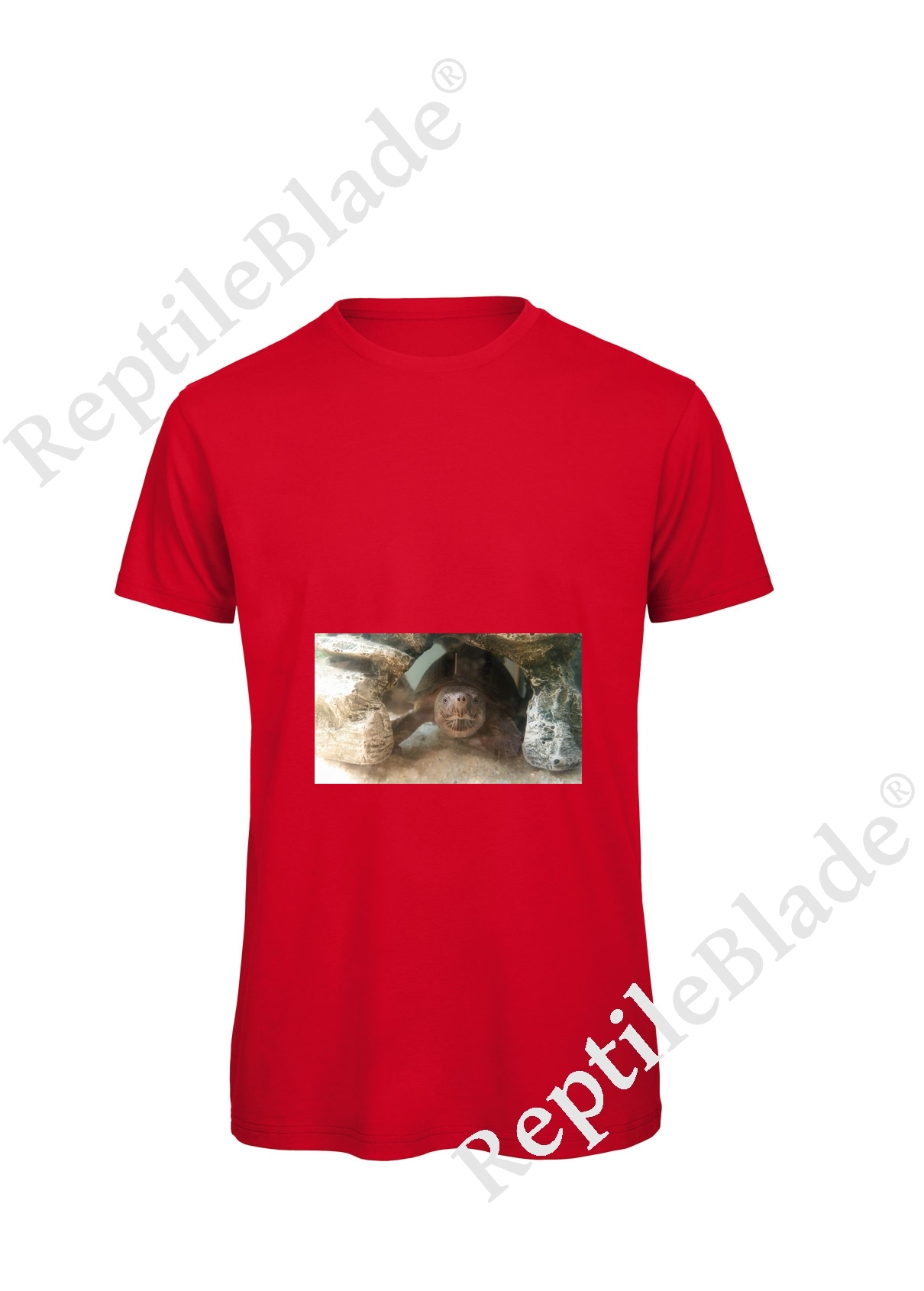 Miniature T-shirt homme "Lilo tortues"