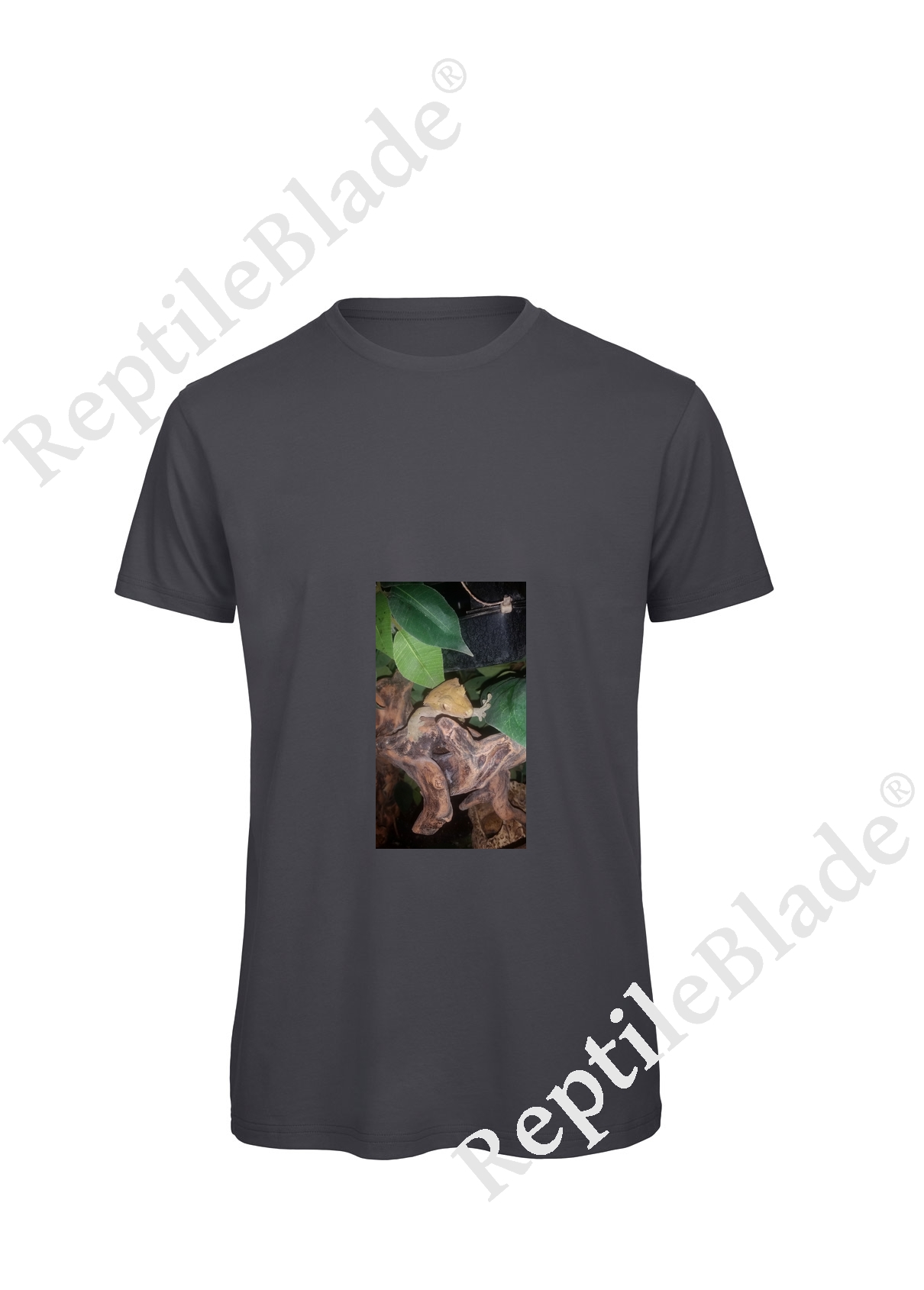 Miniature T-shirt homme "Lilo tortues"